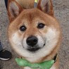 だいず豆子さん