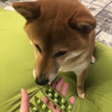 の写真