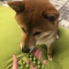 の写真
