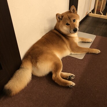 の写真