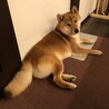 の写真
