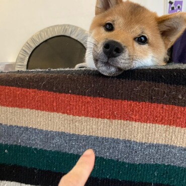 の写真