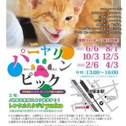 ６月５日第３３回パニャリンピック&にゃスターズ―障害猫さん＋シニア猫さんの譲渡会 サムネイル1