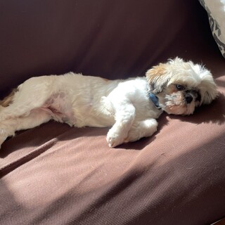 【アイダ】おっとり控えめ系女子