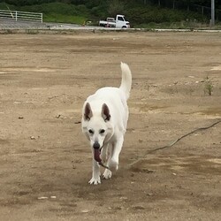 「悲しい、悲しい、そして、ムカつく出来事」サムネイル3