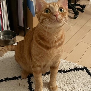 スリゴロちゃんでとってもかわいいマイコー♪