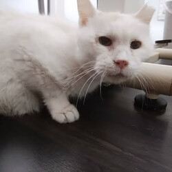 「5/18いなり」サムネイル1