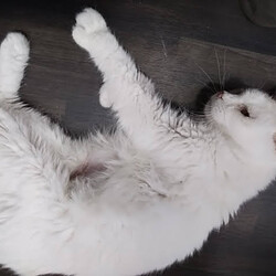 「5/18いなり」サムネイル2