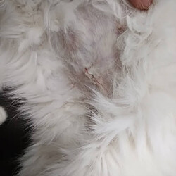 「5/18いなり」サムネイル3