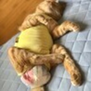 事故で下肢麻痺の状態ですが、可愛いはまぐりくんです