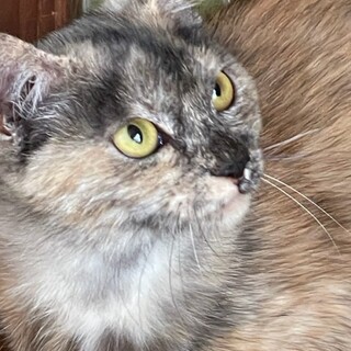 サーヤ・・・ありがとうございました。