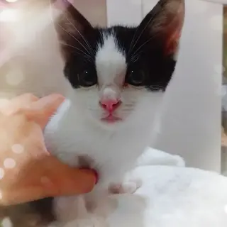 6月5日★堺市里親会★タルくん