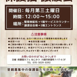 保護猫譲渡会in島忠ホームズさいたま中央店