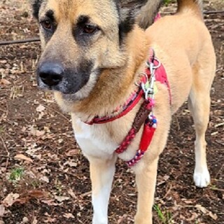 運動神経抜群！元気で甘えん坊の男の子ミラン