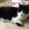 甘えん坊（10歳） サムネイル2