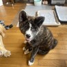 雫