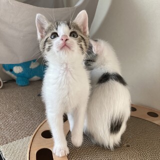 マイペースで人が大好きなはるちゃん♪