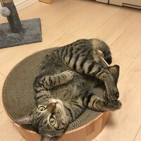 なの