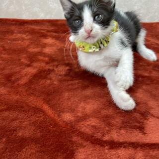 インスタで成長をアップしている‼️富津４❤️数馬