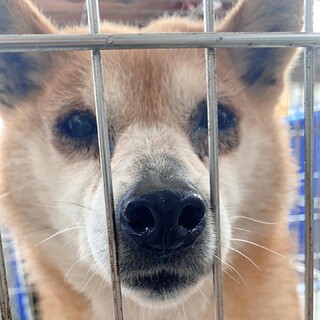 ☆❣️家族がきまりました❣️☆