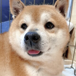 ☆❣️家族が決まりました❣️☆