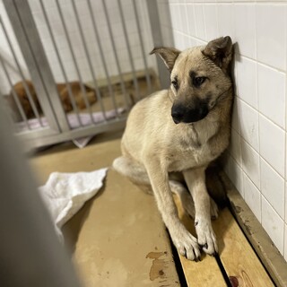 まだ子供です！期限があります！動画あり！