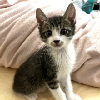 活発で元気な男の子★そうめいくん