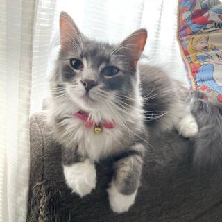 ※トライアル決定※小さめな女の子「幸」