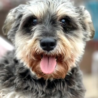 22-W363　凄く良い子過ぎです！！