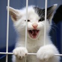 ありがとうございました(*ฅ́˘ฅ̀*)