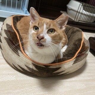 〝みーくん〟です♪