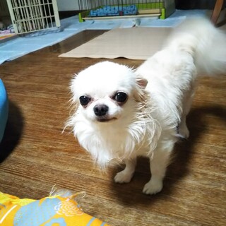 素敵なご縁を頂きました☺️