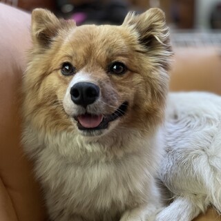 淡々としたカワイイ女の子5歳くらい