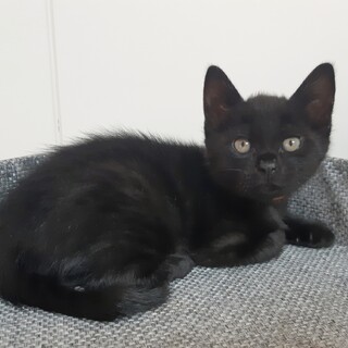 【ない】2022.4.4生まれ♂️