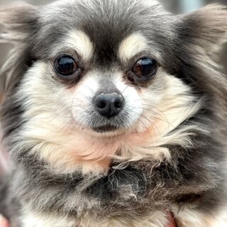 22-W358　ブルーマールの可愛い女子♪