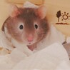 の写真