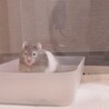 の写真