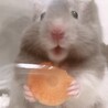 の写真
