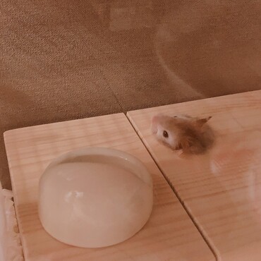 の写真