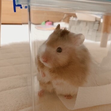 の写真