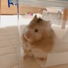 の写真
