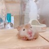の写真