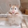 の写真