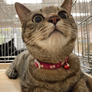 お目目がうるうるキキちゃん⭐︎