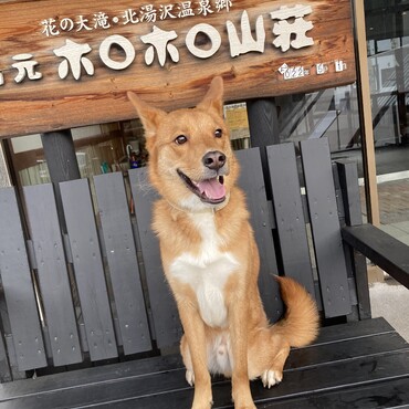の写真