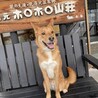の写真