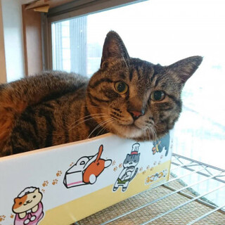 家族にはベタベタの甘えん坊、ルイくん♪