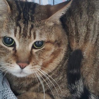 穏やかな、じょうくん♪