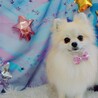 1歳4ヶ月