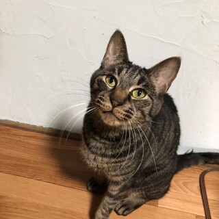 人のそばが大好きです♡じゆうくん